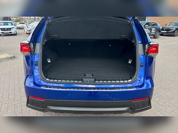 Used Lexus NX 2019 for sale - 79419975: Photo