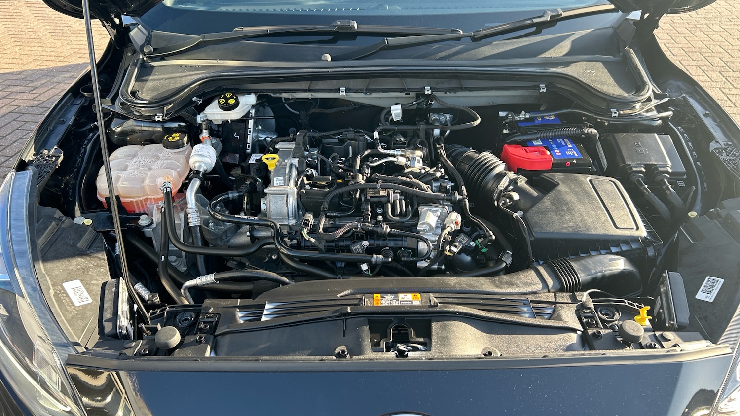 Used Ford Focus 2021 for sale - 77935103: Photo 8