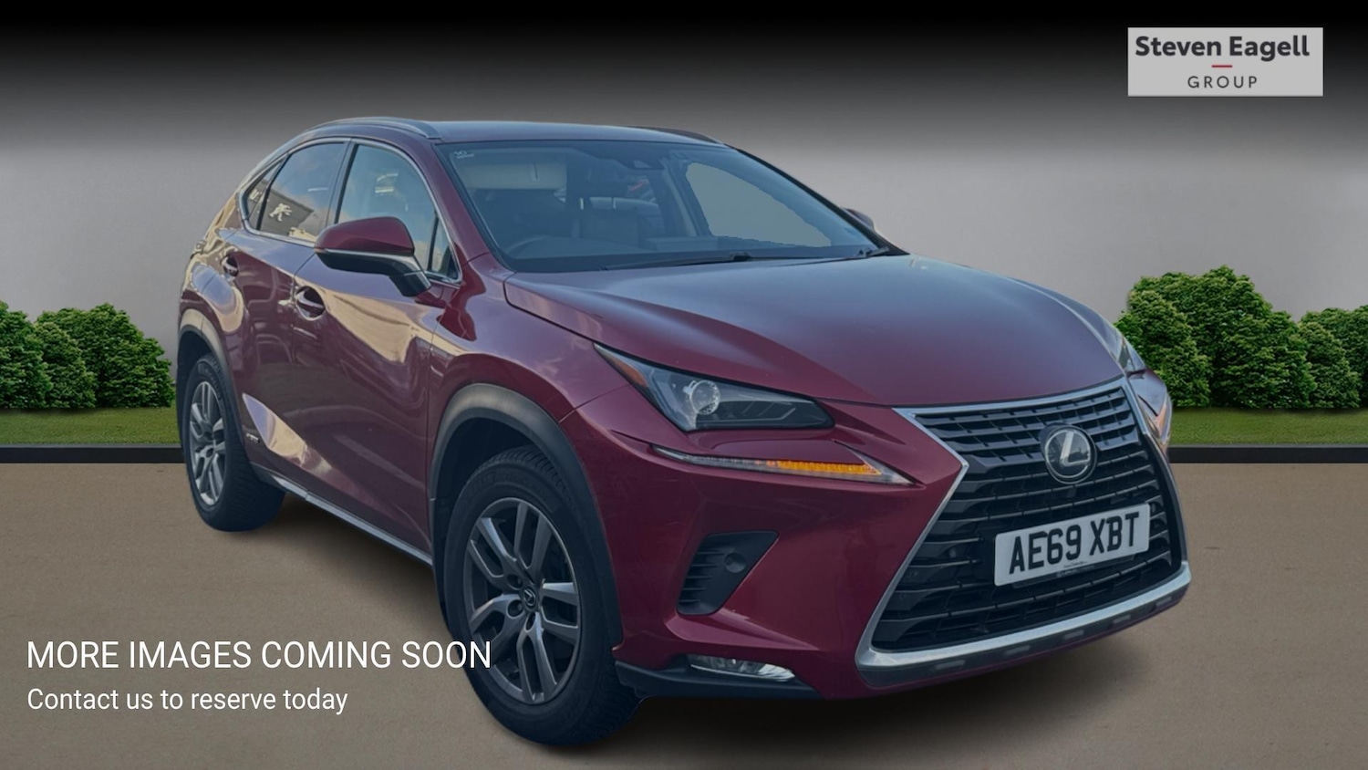 Used Lexus NX 2019 for sale - 76898480: Photo 1