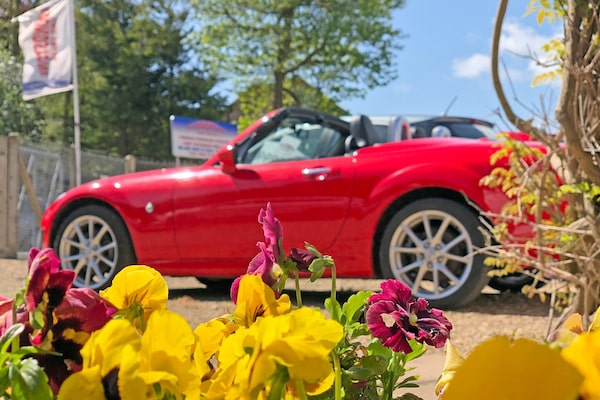 Used MINI Hatch 2020 for sale - 75423140: Photo 60