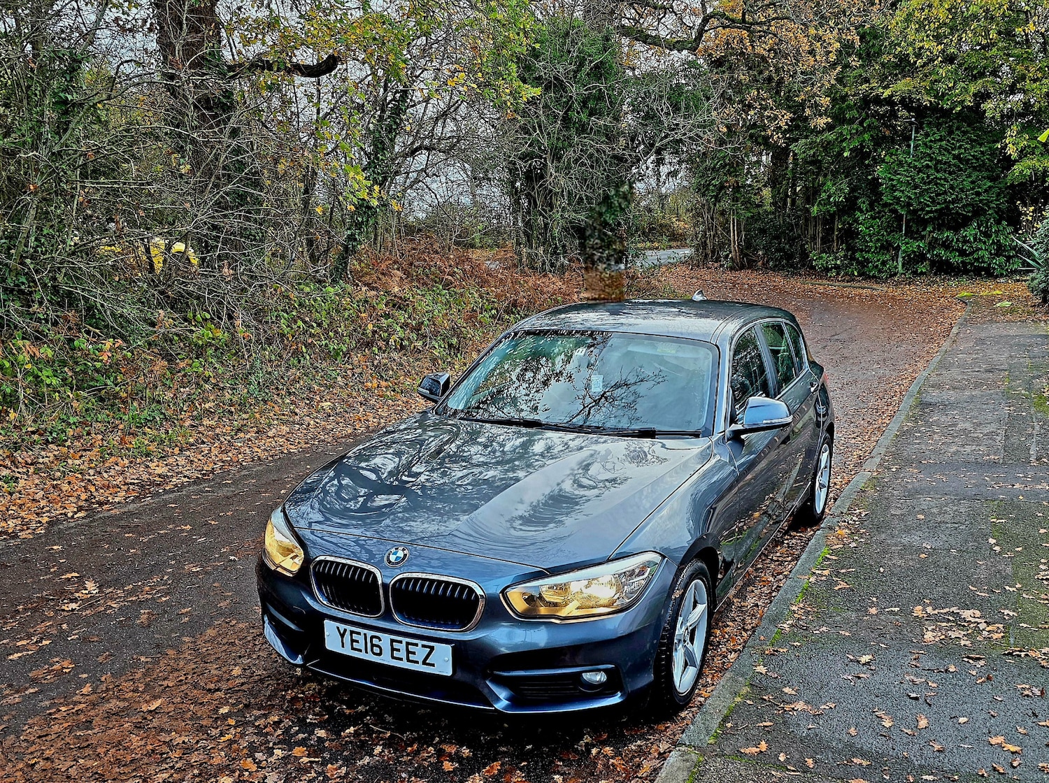 Used BMW 1 Series 2016 for sale - 76568443: Photo 1