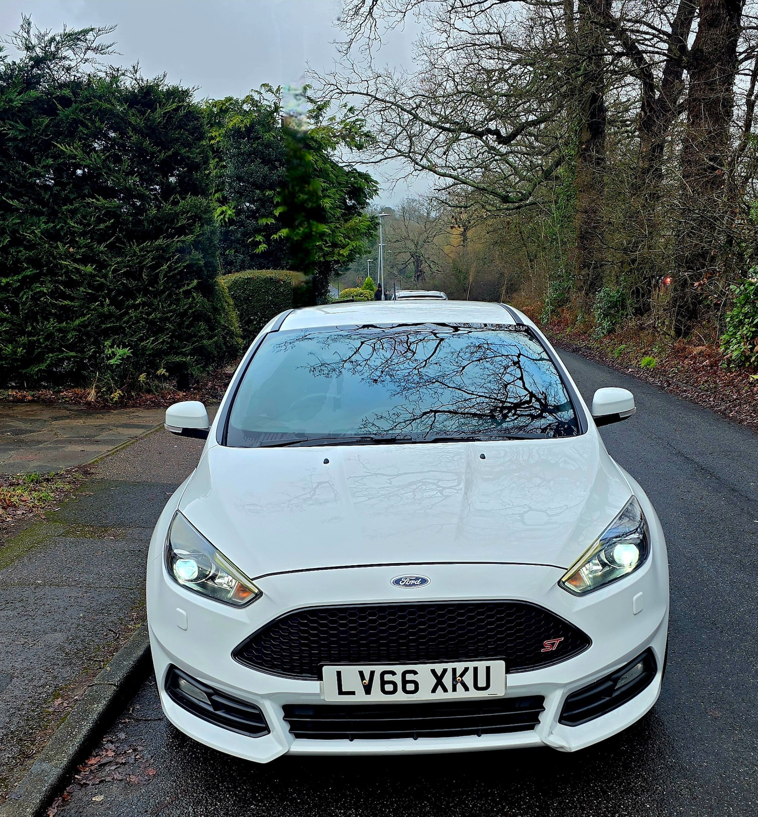 Used Ford Focus 2016 for sale - 77319953: Photo 10