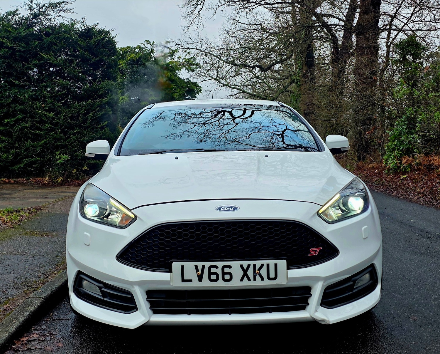 Used Ford Focus 2016 for sale - 77319953: Photo 9