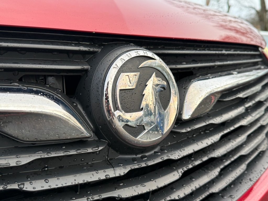 Used Vauxhall Grandland X 2019 for sale - 76986324: Photo 12