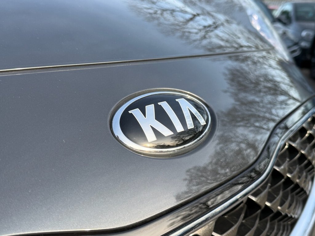 Used Kia Sportage 2019 for sale - 77959756: Photo 11