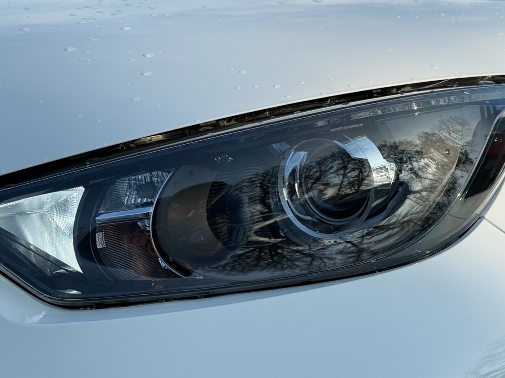 Used Mazda Mazda2 HYBRID 2024 for sale - 76510098: Photo 8