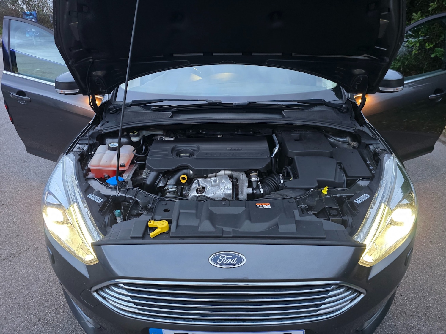 Used Ford Focus 2017 for sale - 76912603: Photo 14