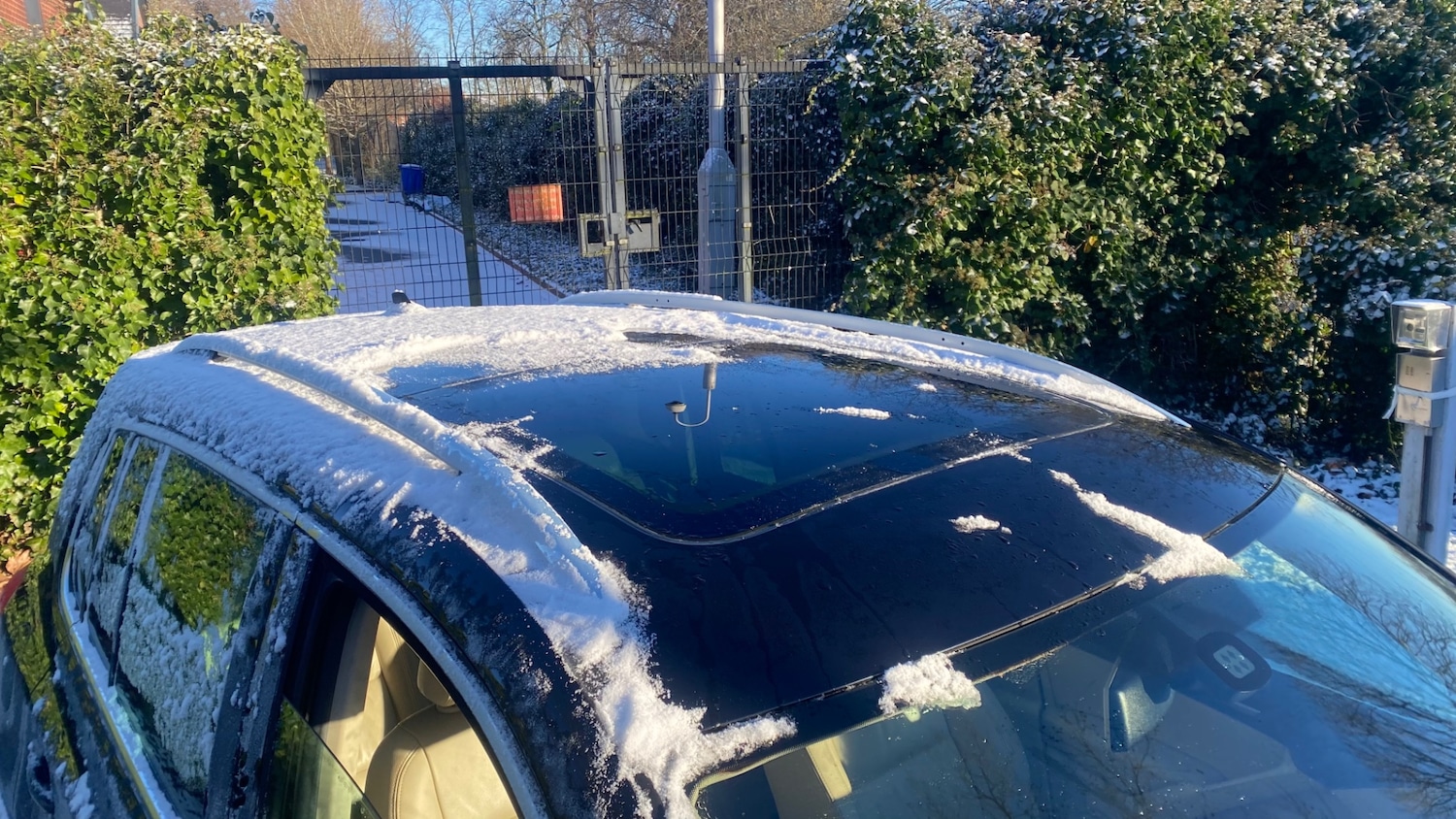 Used Volkswagen Tiguan 2010 for sale - 77039115: Photo 10