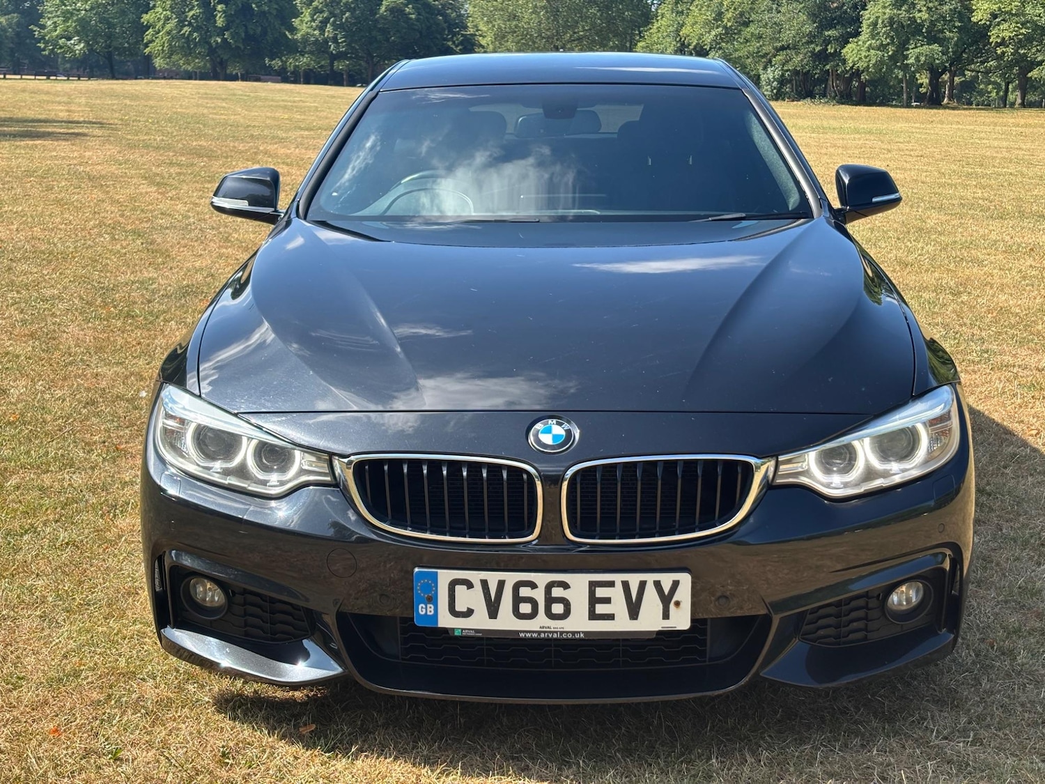 Used BMW 4 Series Gran Coupe 2016 for sale - 76295727: Photo 2