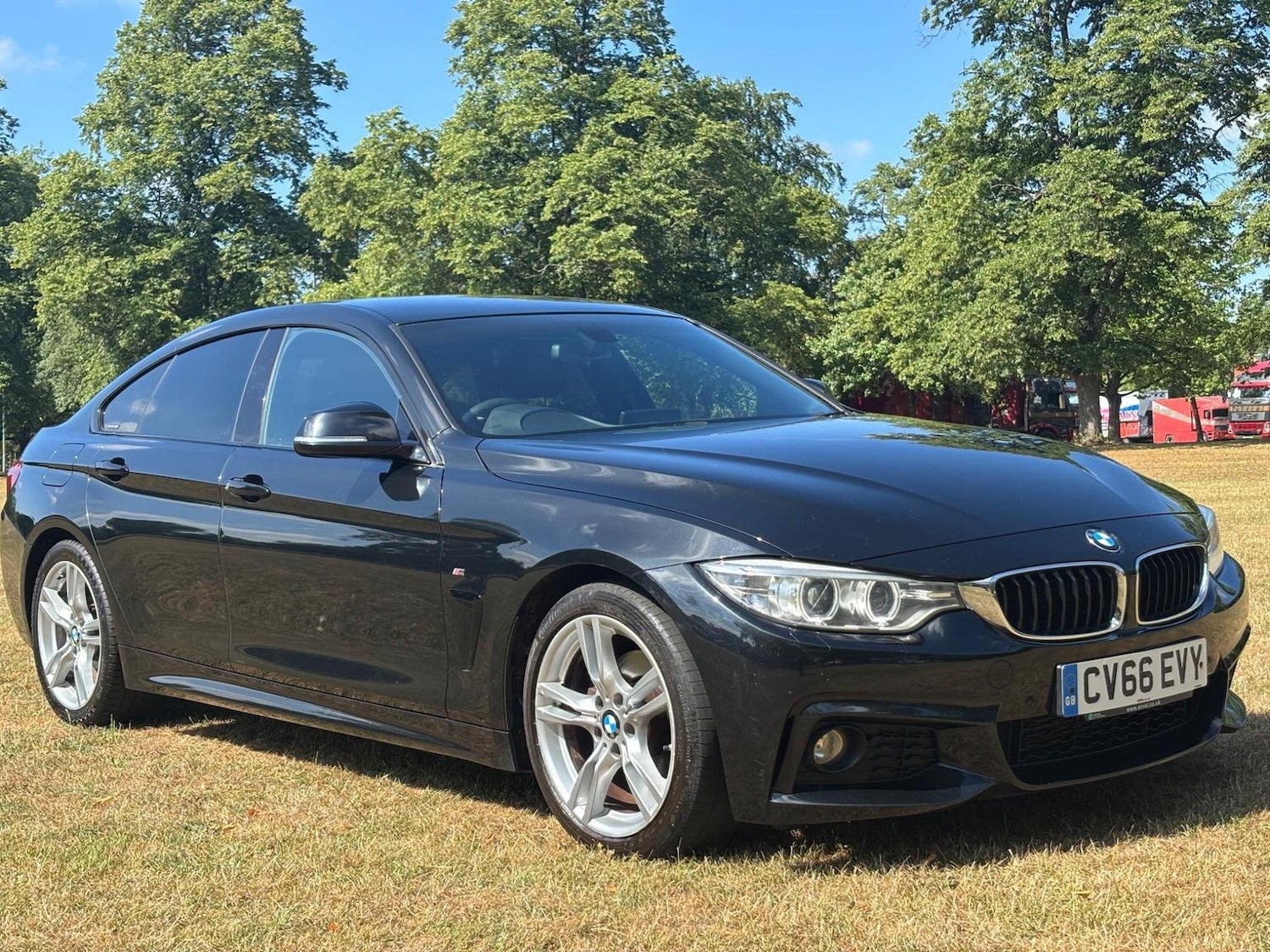 Used BMW 4 Series 2016 for sale - 76878145: Photo 1