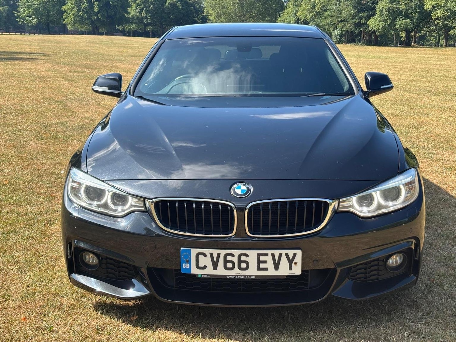 Used BMW 4 Series 2016 for sale - 76878145: Photo 2