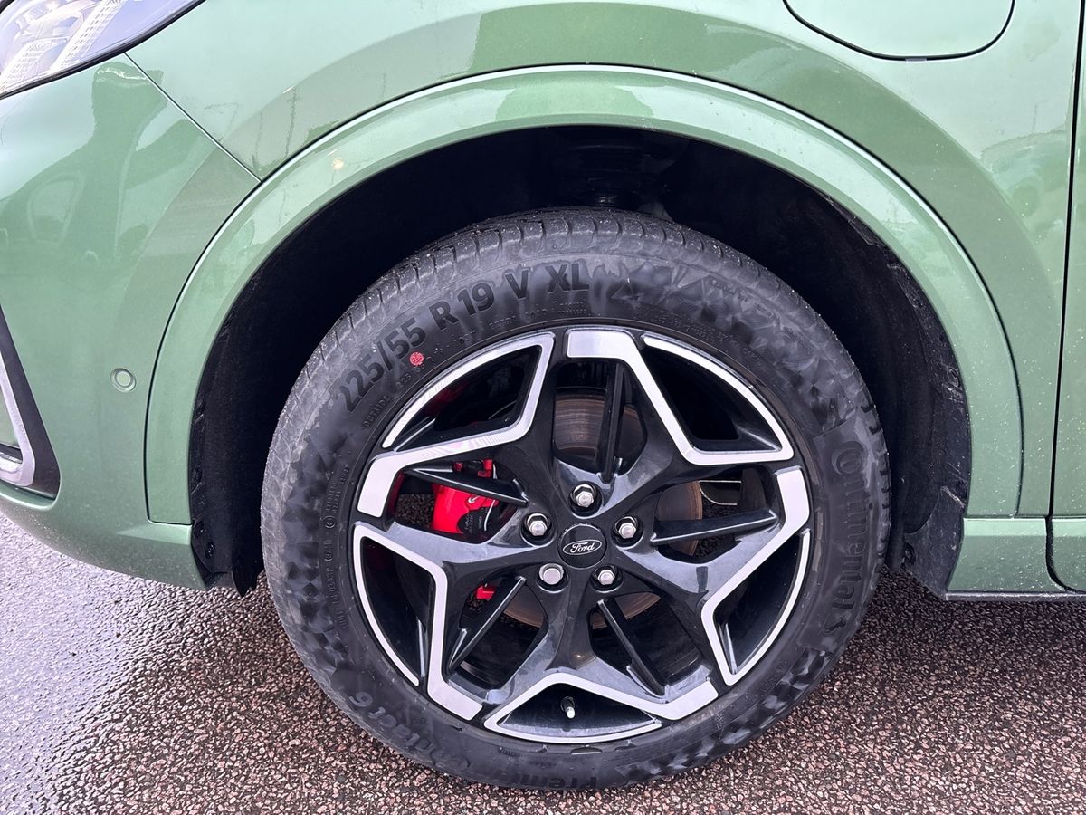 Used Ford Kuga 2024 for sale - 77660314: Photo 11