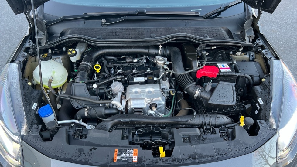 Used Ford Fiesta 2023 for sale - 76575073: Photo 16