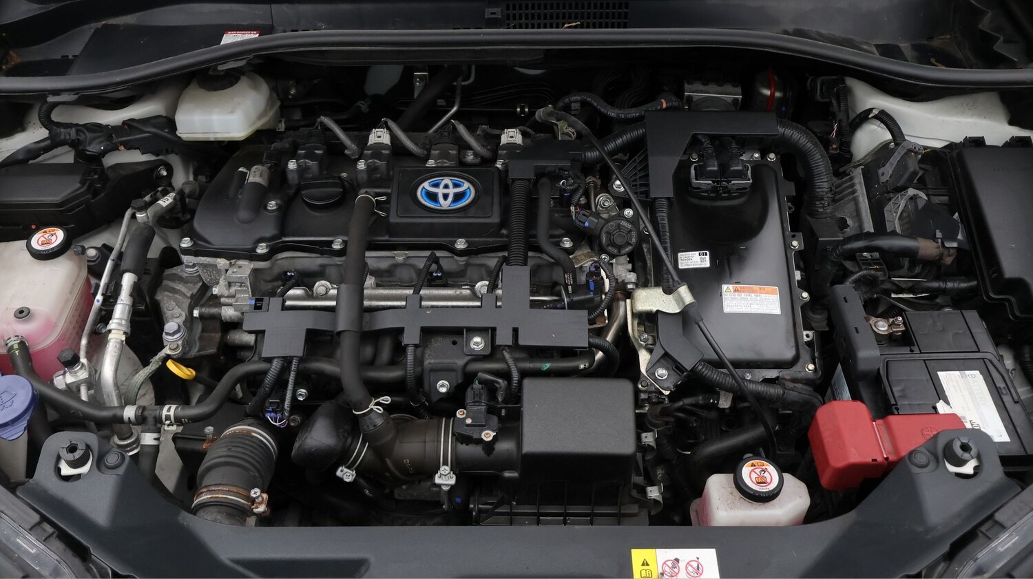 Used Toyota C-HR for sale - 77182149: Photo 19