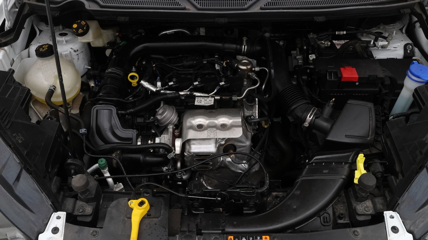 Used Ford Ecosport 2023 for sale - 77641868: Photo 19