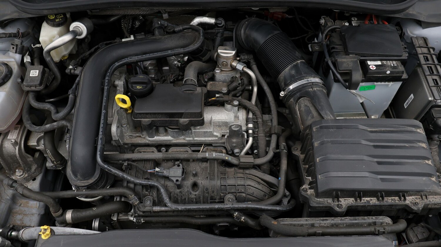 Used Volkswagen Polo for sale - 77732669: Photo 19