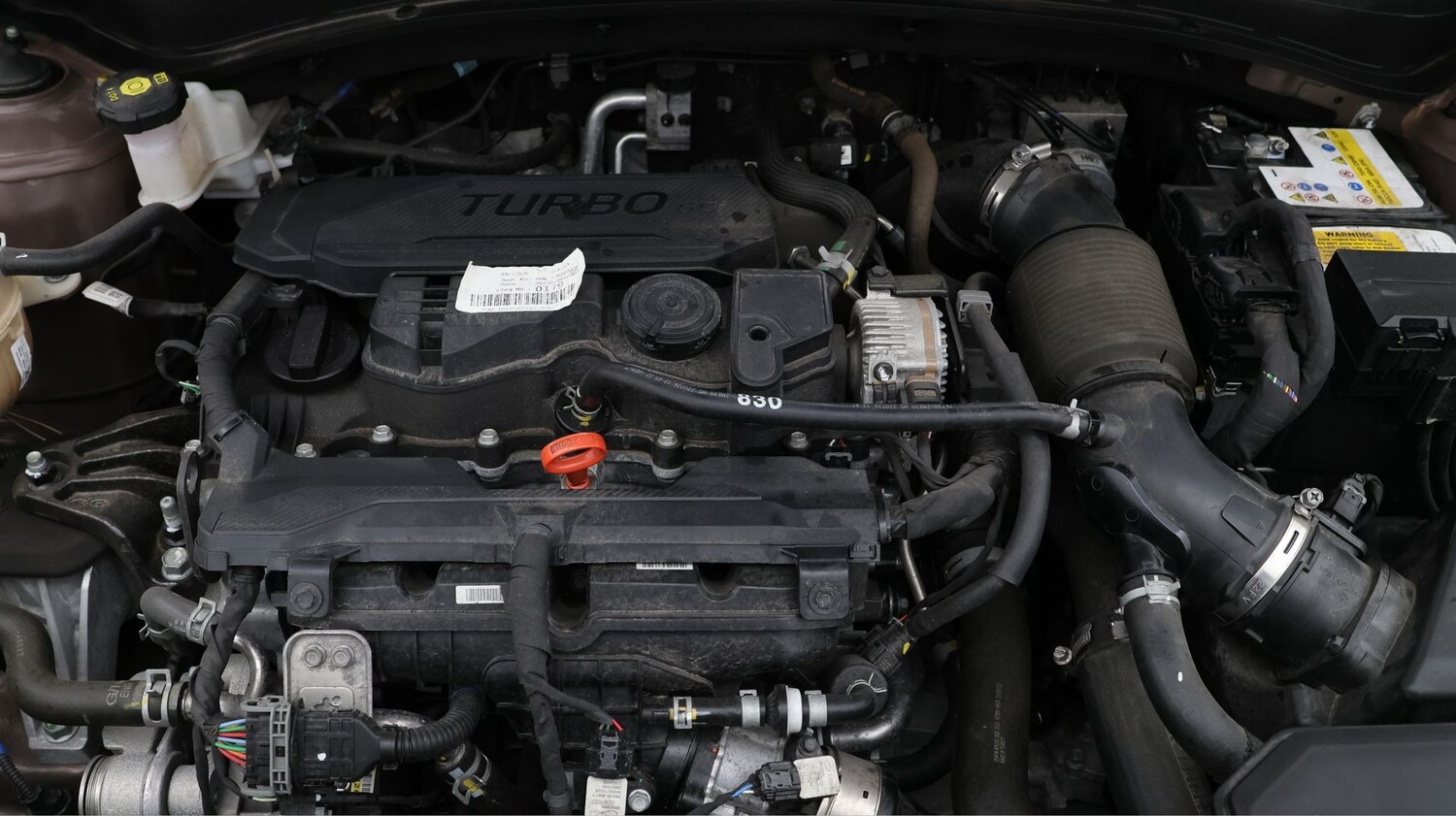 Used Kia Sportage for sale - 77664453: Photo 19