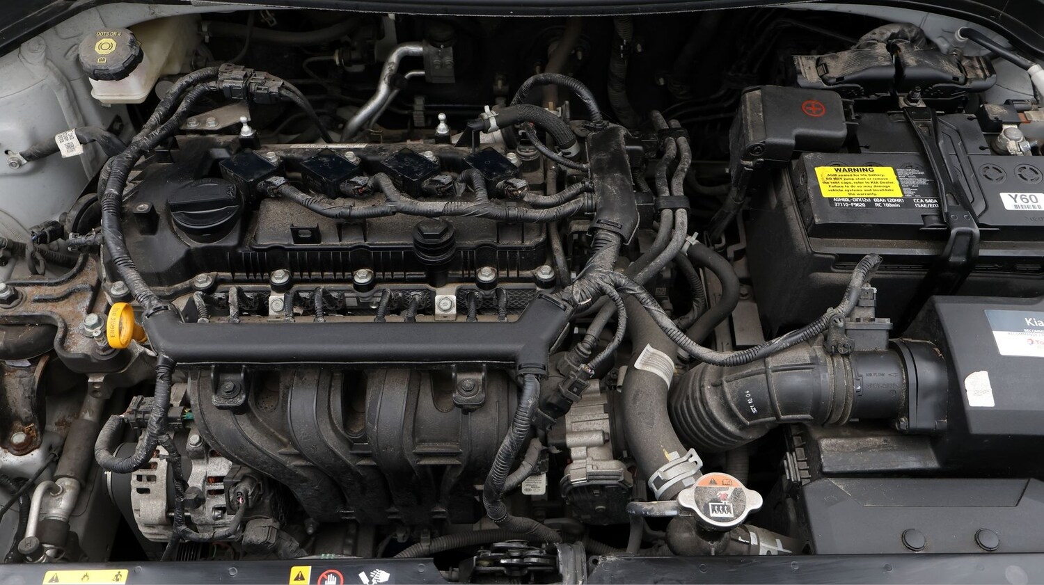 Used Kia Rio for sale - 77687849: Photo 19