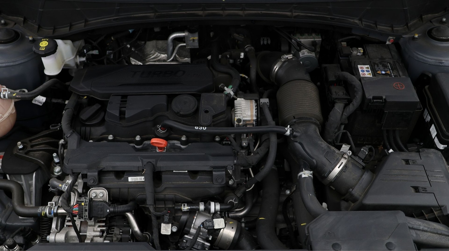 Used Hyundai TUCSON 2023 for sale - 77774956: Photo 19