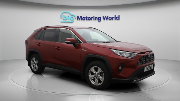 Used Toyota RAV4 2019 for sale - 76294562: Photo 2