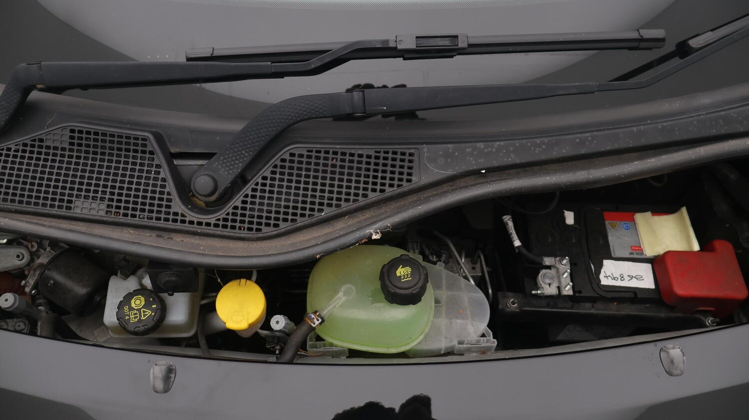 Used smart forfour 2020 for sale - 76423711: Photo 20