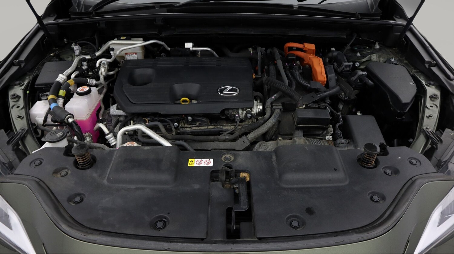 Used Lexus NX for sale - 77707860: Photo 19