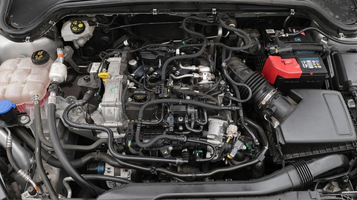 Used Ford Focus 2023 for sale - 76571987: Photo 20