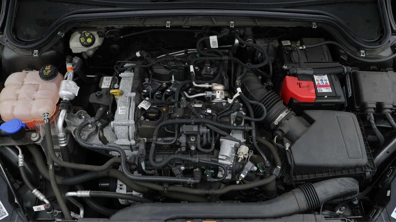 Used Ford Focus 2021 for sale - 77501212: Photo 19