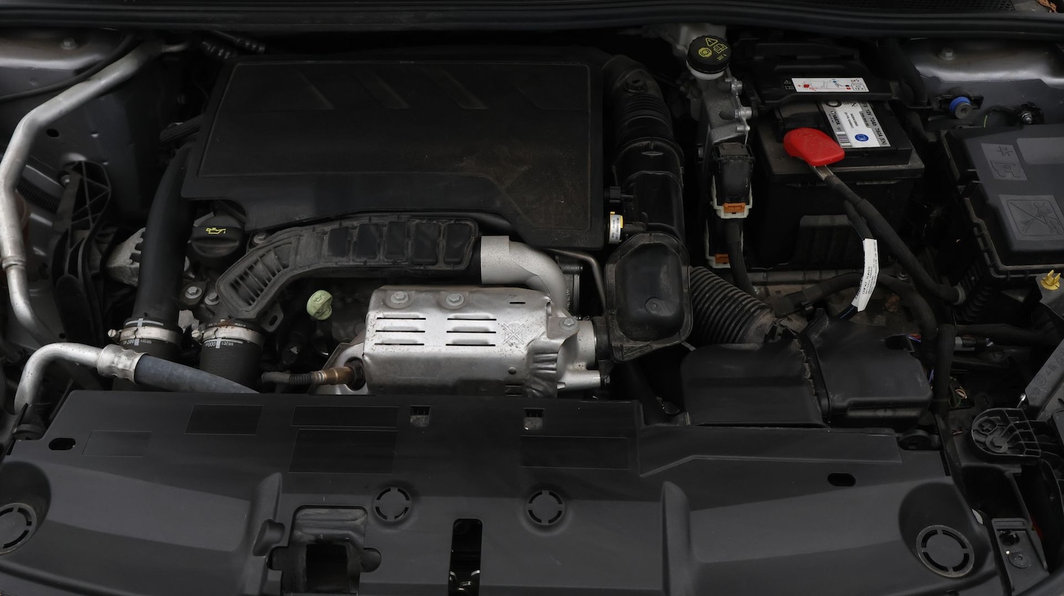 Used Peugeot 308 for sale - 77822103: Photo 19