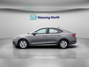 Used Skoda Octavia 2023 for sale - 78655388: Photo