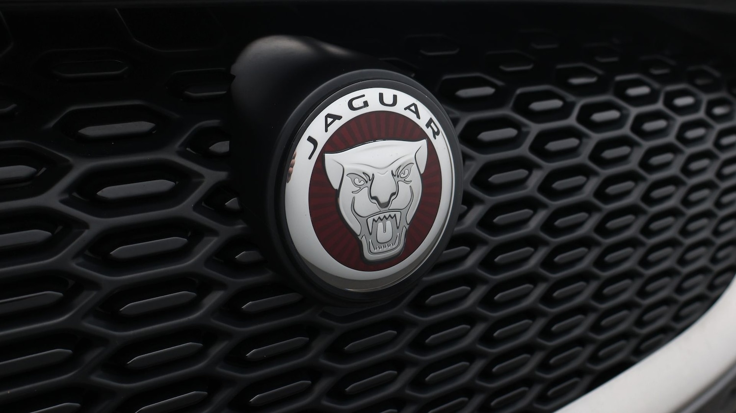 Used Jaguar I-Pace 2020 for sale - 77508309: Photo 23