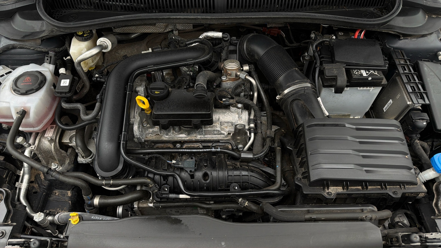 Used Volkswagen Polo 2024 for sale - 77935931: Photo 18