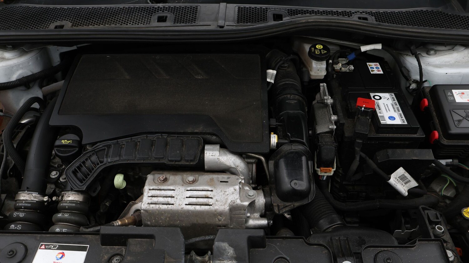 Used Citroen C4 2023 for sale - 77271138: Photo 19