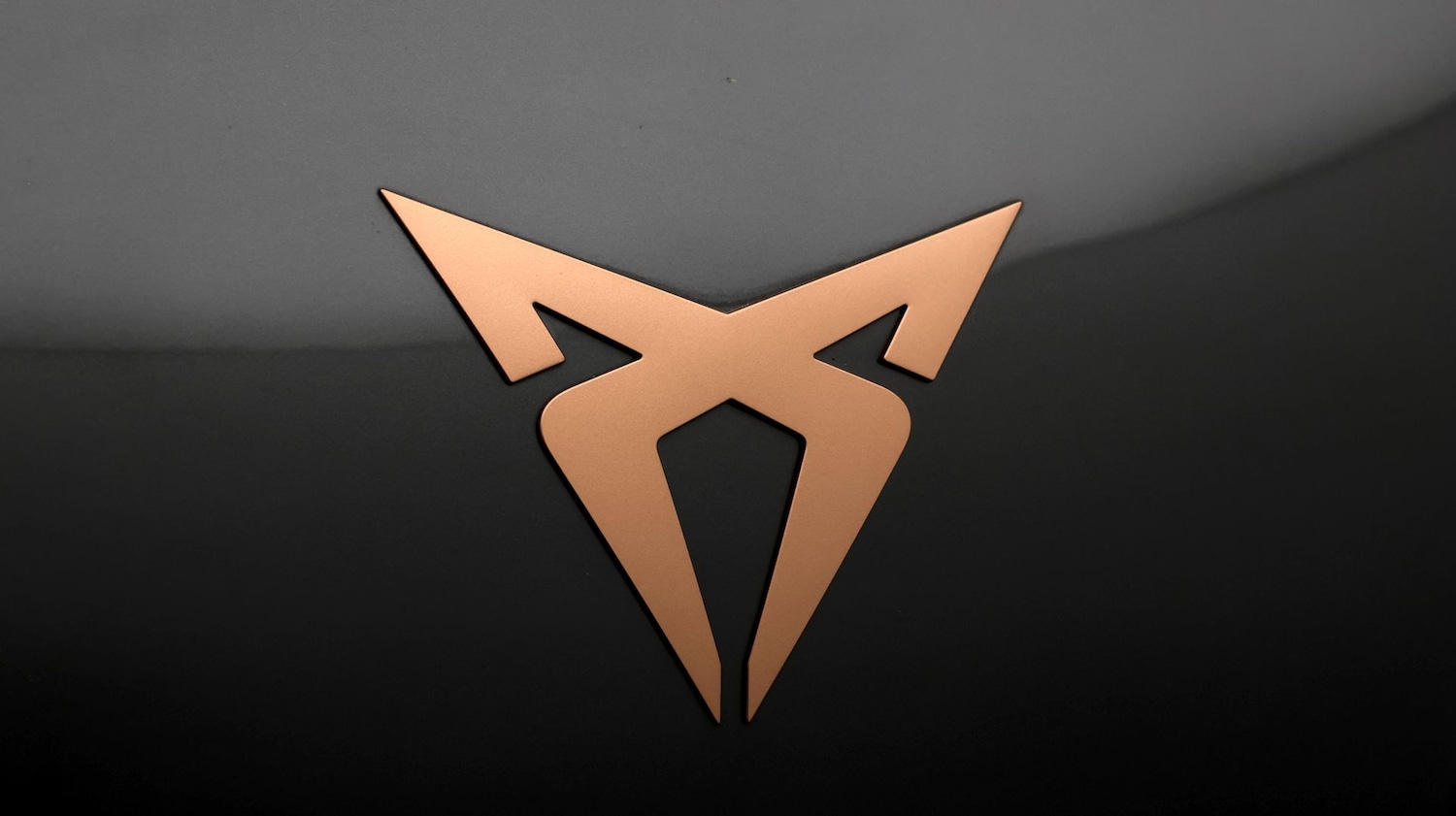 Used Cupra Born 2024 for sale - 77577573: Photo 22