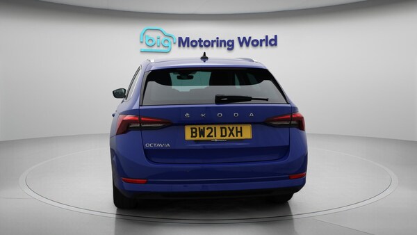Used Skoda Octavia 2021 for sale - 75589079: Photo 7