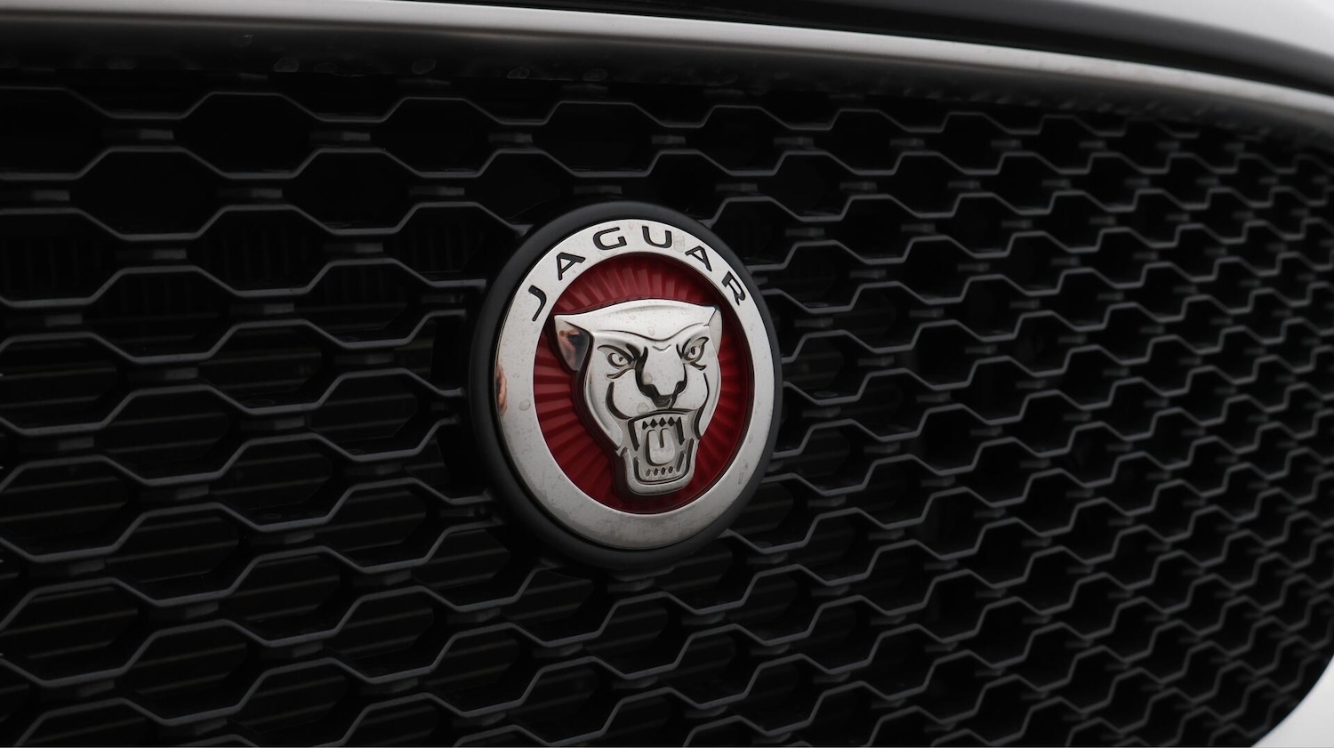 Used Jaguar F-Pace 2019 for sale - 76398739: Photo 22