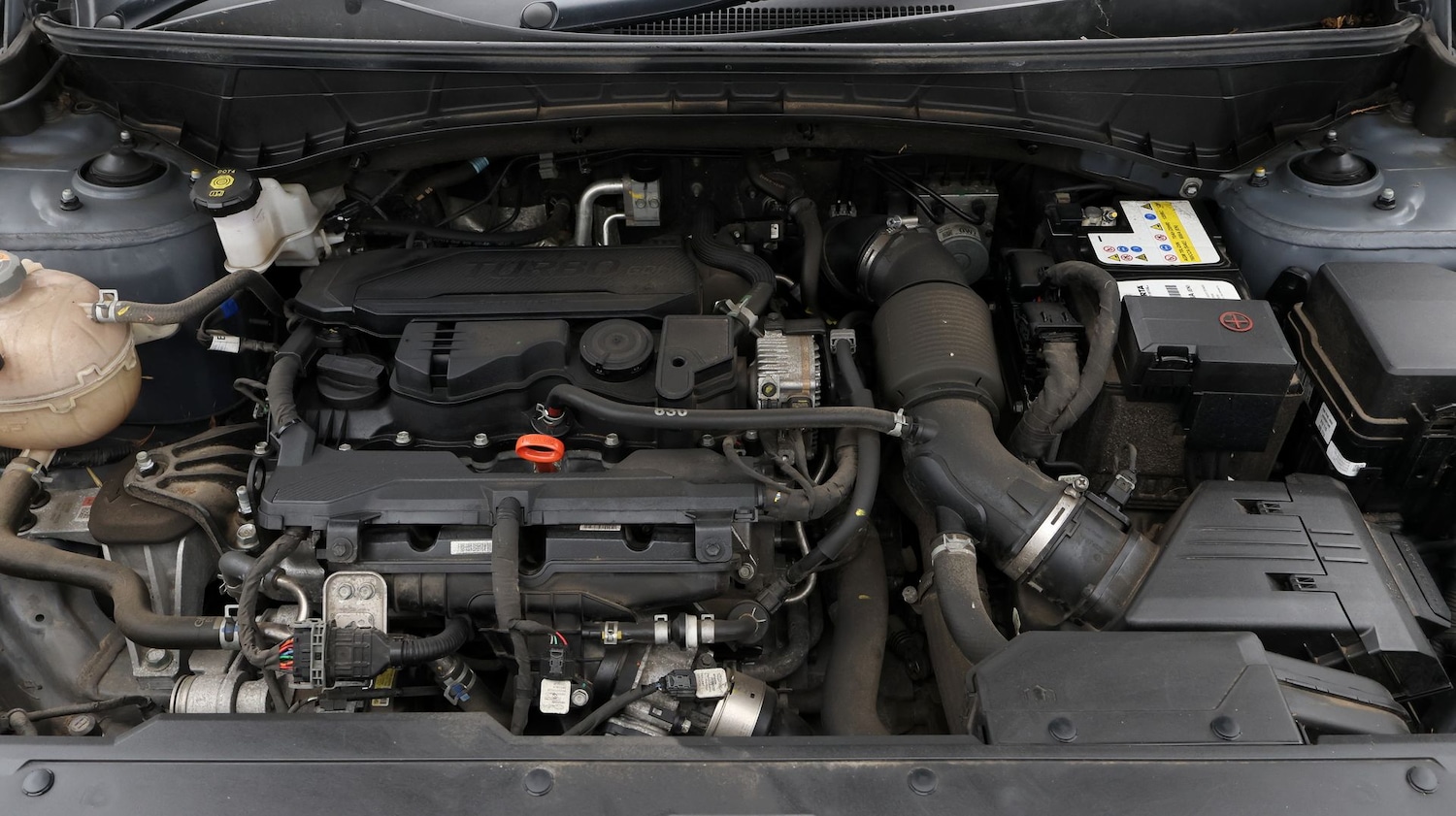 Used Hyundai TUCSON 2023 for sale - 77482333: Photo 19