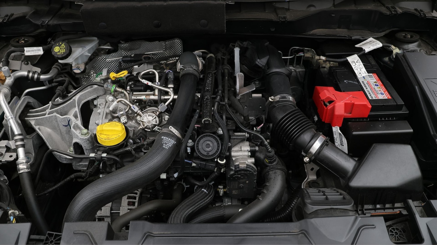 Used Nissan Juke 2024 for sale - 77461014: Photo 19