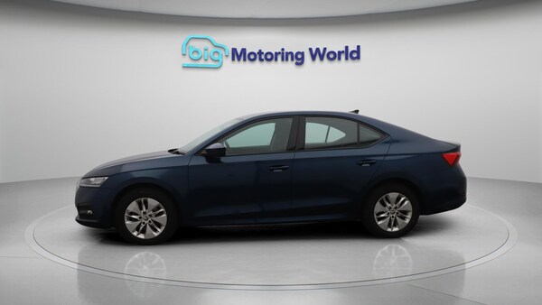 Used Skoda Octavia 2022 for sale - 75809617: Photo 5