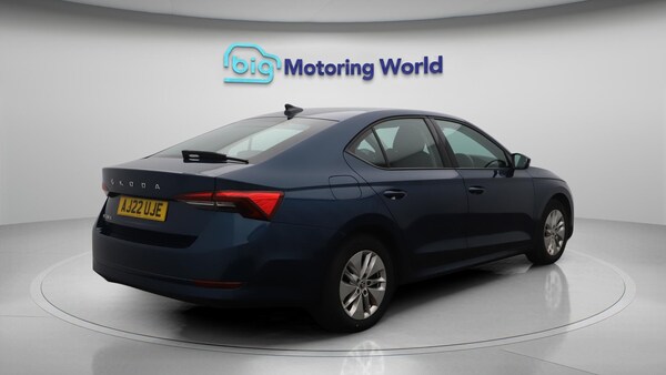Used Skoda Octavia 2022 for sale - 75809617: Photo 8