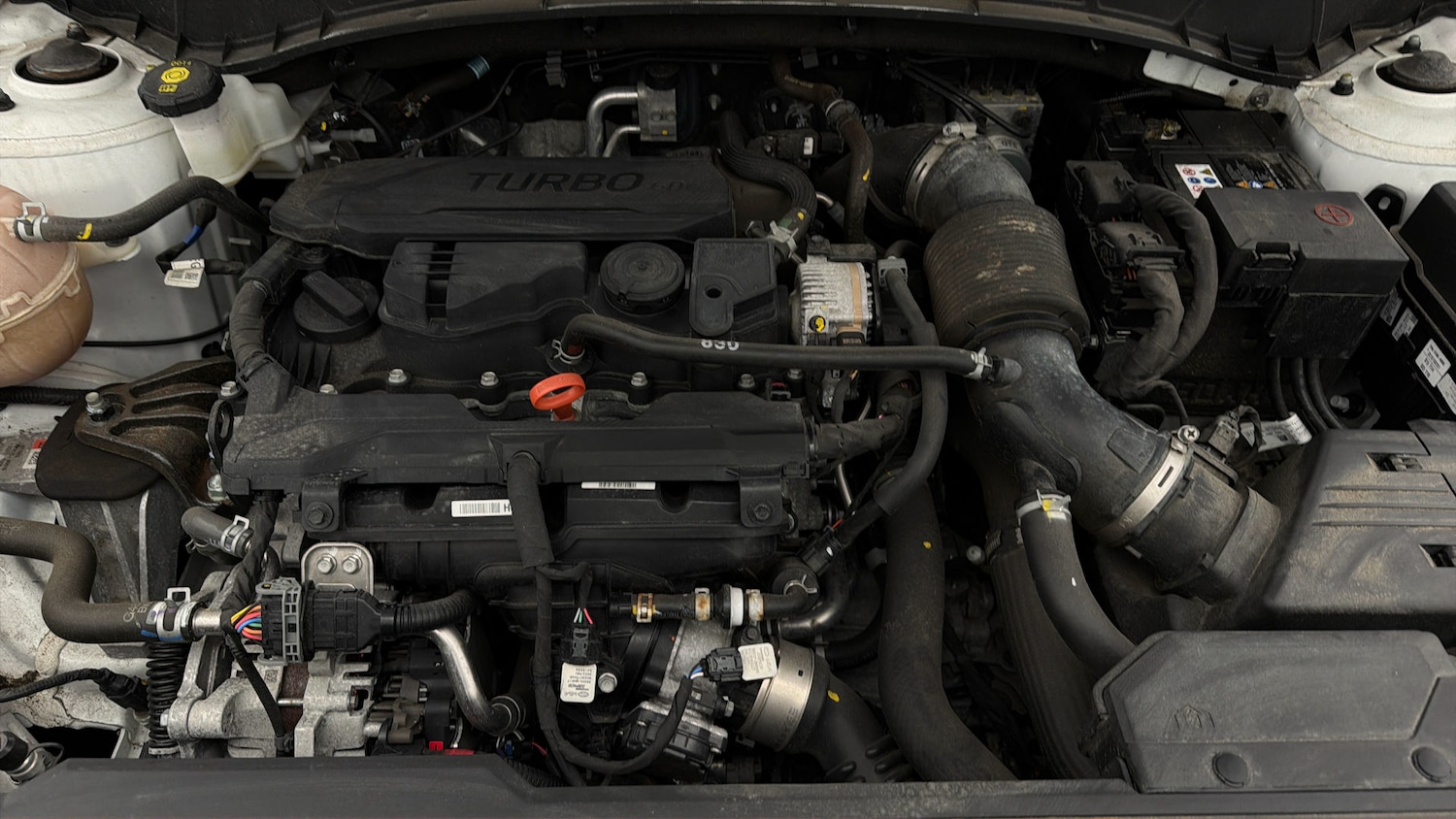 Used Hyundai TUCSON 2023 for sale - 78012901: Photo 18