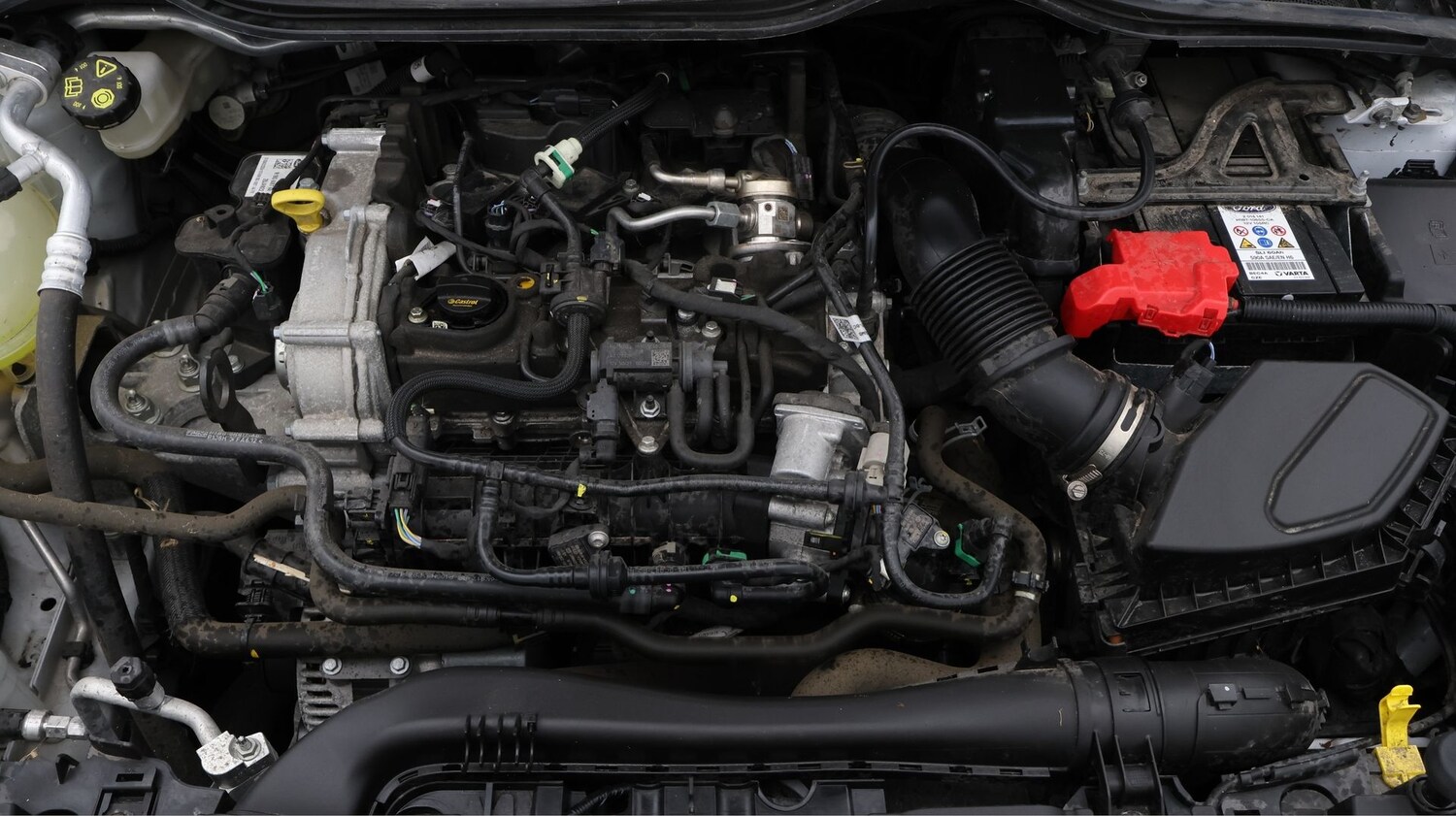 Used Ford Fiesta for sale - 77749616: Photo 19