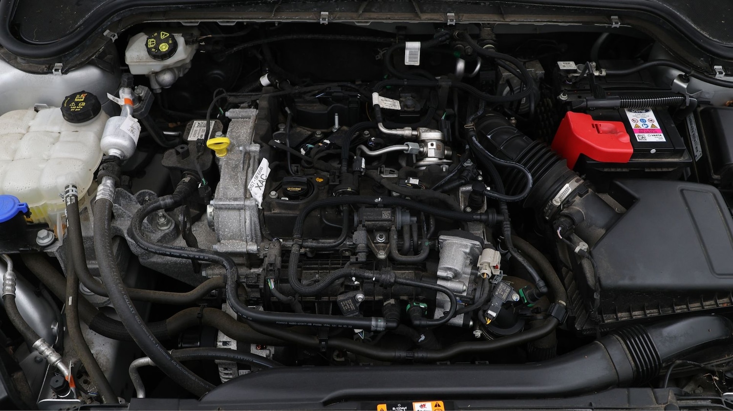 Used Ford Focus 2023 for sale - 77435011: Photo 19