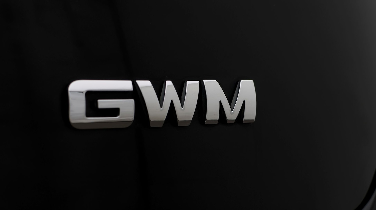 Used GWM Funky Cat 2024 for sale - 77384996: Photo 22