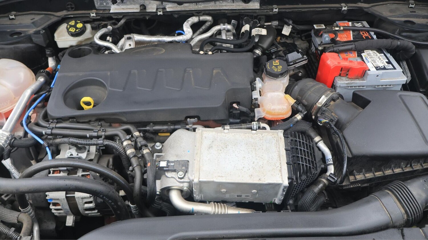 Used Ford Kuga 2020 for sale - 76238670: Photo 20