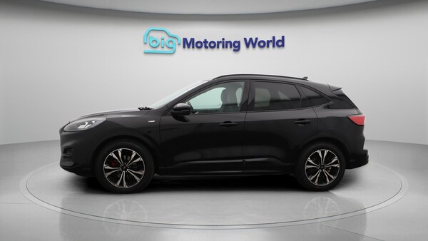 Used Ford Kuga 2020 for sale - 76238670: Photo 5