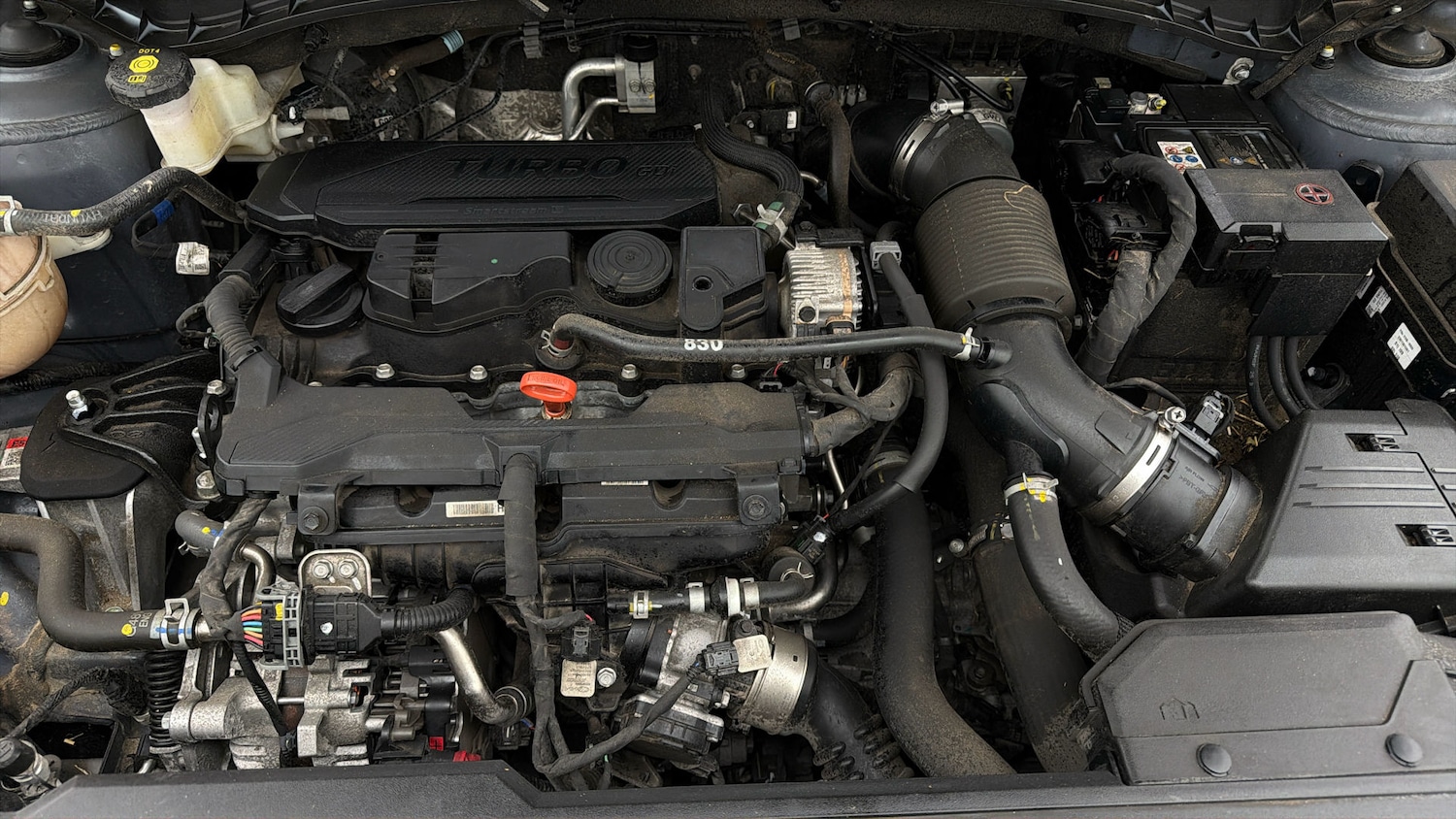 Used Hyundai TUCSON 2023 for sale - 77968474: Photo 18