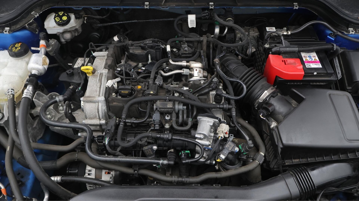 Used Ford Focus 2023 for sale - 76432406: Photo 20