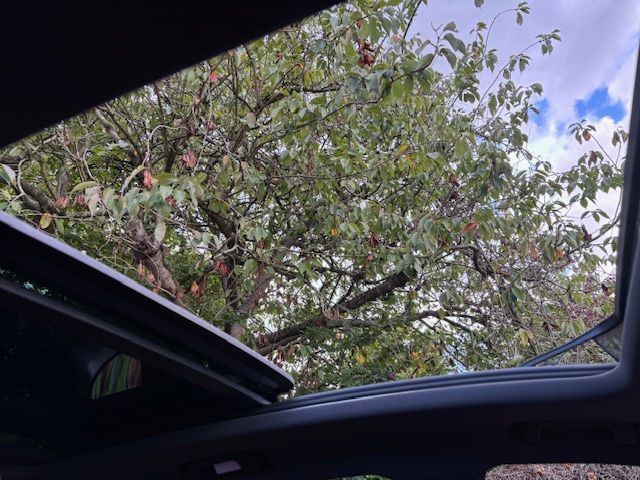 Used MG MG HS 2020 for sale - 77336556: Photo 21