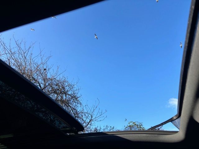 Used MG MG HS 2022 for sale - 77336565: Photo 20